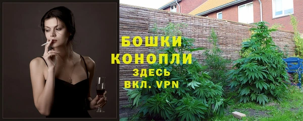 молекула духа Армянск