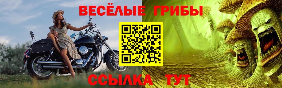Нефтекумск  Псилоцибиновые грибы прущие грибы  Вход с VPN 